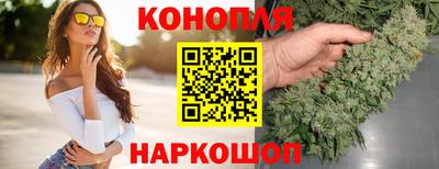стафф Славгород