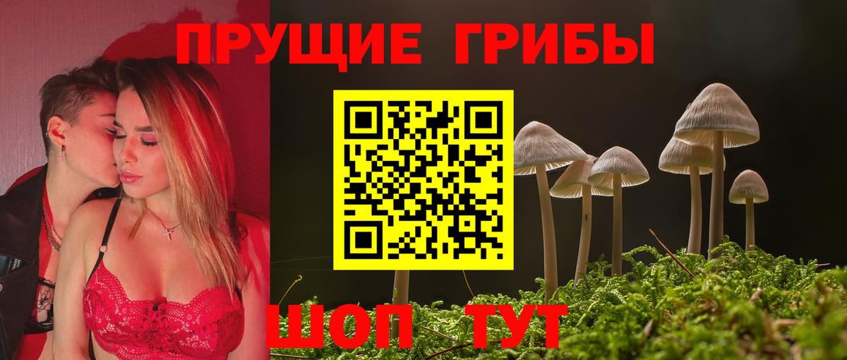 Отрадное  Псилоцибиновые грибы ЛСД  Вход с VPN 