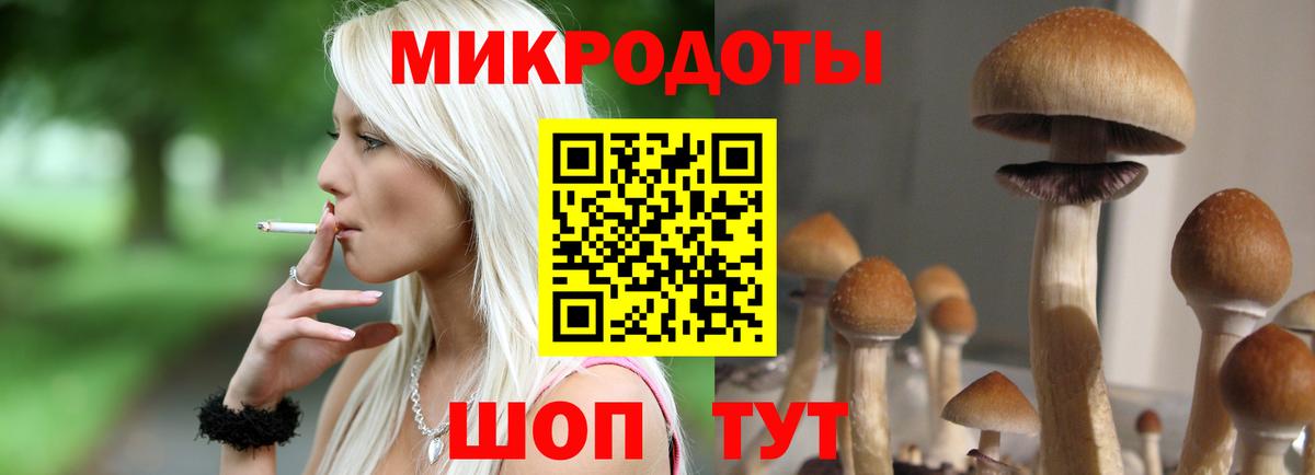 Галлюциногенные грибы мухоморы Отрадное